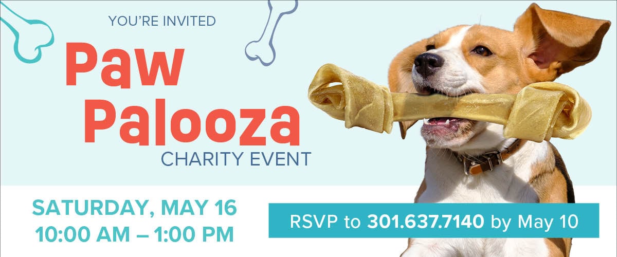 HFFD-0033-Slider_Paw Palooza_5-16-26_CLG_1200 x 500